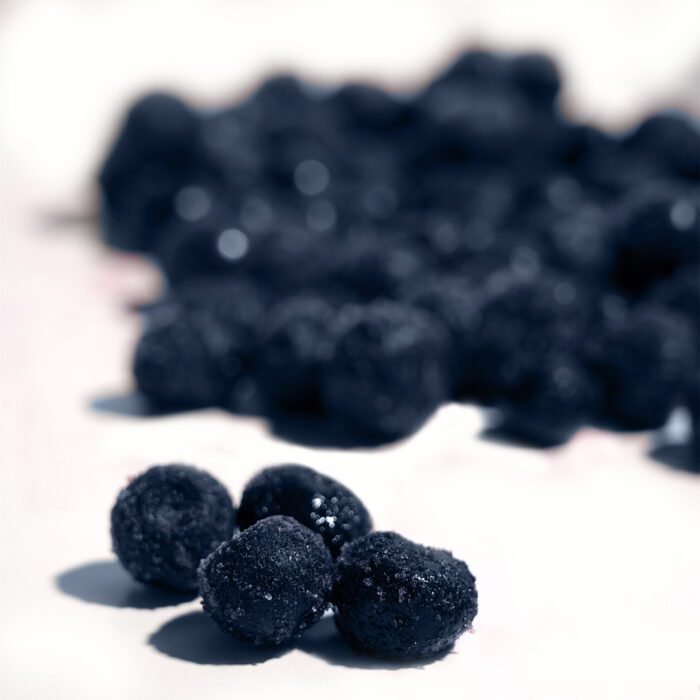Agrophonics Plucia Imported Frozen Blueberries