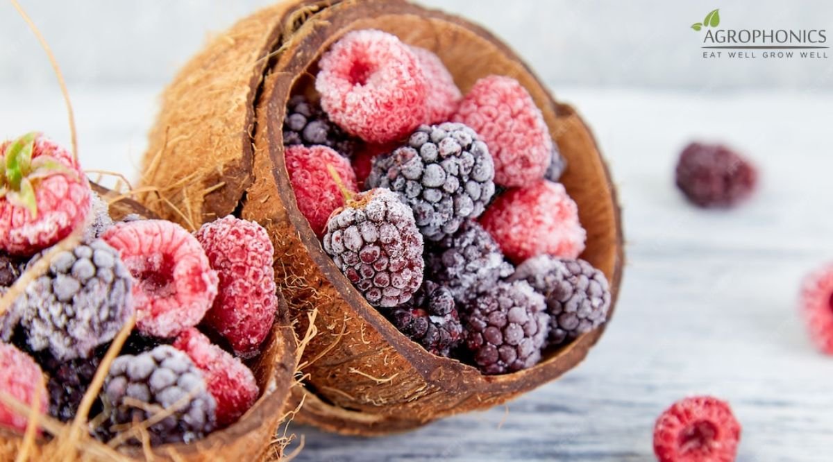 Frozen Berries