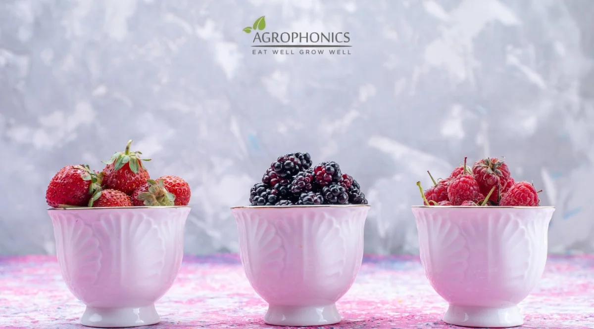 Frozen berries
