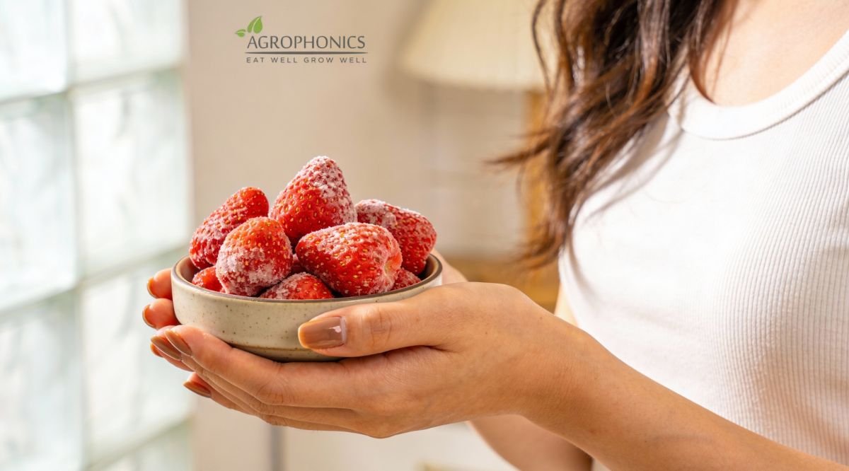 How Frozen Strawberries Maintain Flavor Even After Months