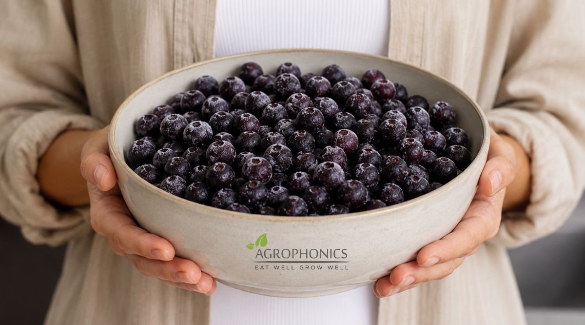 Frozen Black Currants