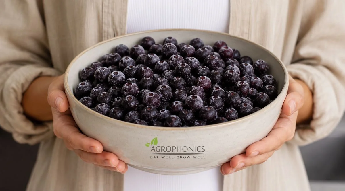 Frozen Black Currants