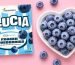 Frozen Blueberries